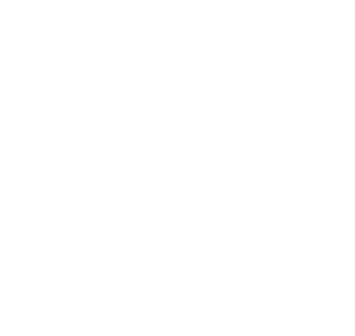 bw-icon-white